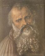 Albrecht Durer Head of the Apostle Philip oil